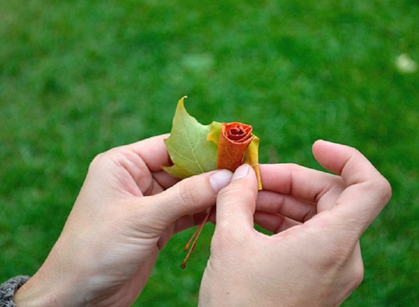 Crafts from leaves on the theme "Autumn" with their own hands for schoolchildren