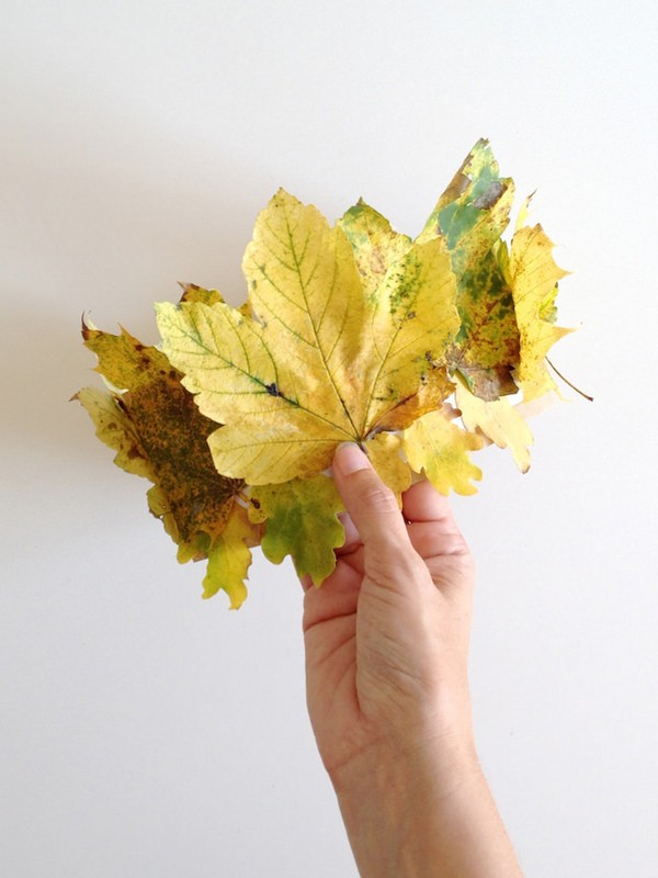 Crafts from leaves on the theme "Autumn" with their own hands for schoolchildren