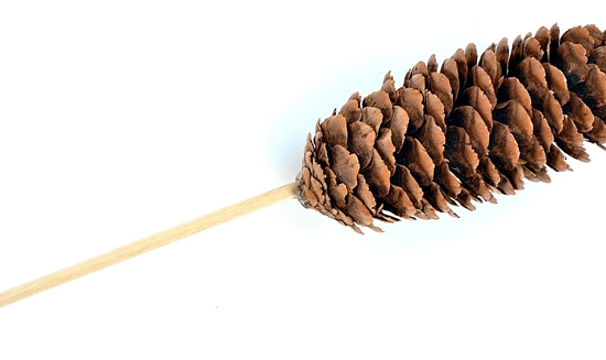 Crafts made of natural material: mini-wood with own hands