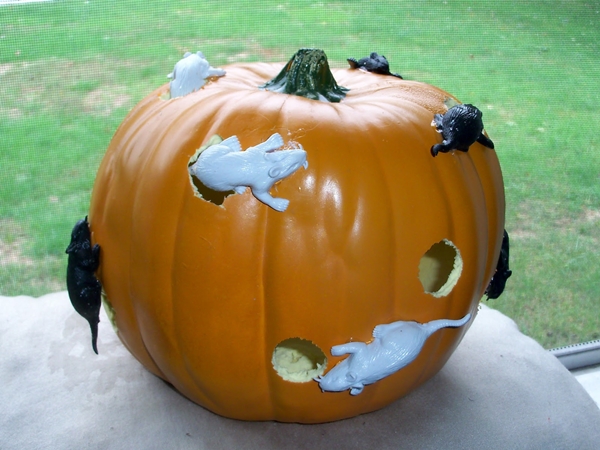 Pumpkins with mice