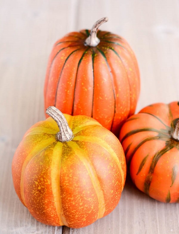 Crafts from a pumpkin with their own hands for kindergarten and school, step by step master classes
