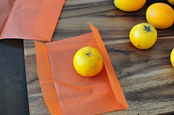 Crafts for children on Halloween