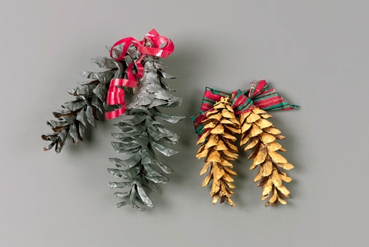 Crafts for the New Year from cones with their own hands: photo master-class