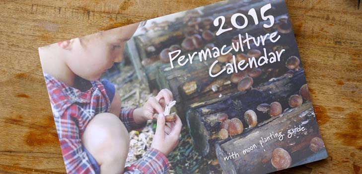 Sowing calendar 2015: we plan to work from January to December