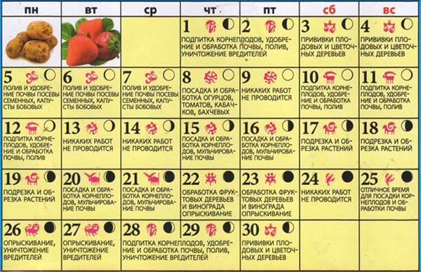 The sowing calendar for June 2017 is lunar for the gardener, gardener - favorable days, phases of the moon, table of the sowing calendar for June