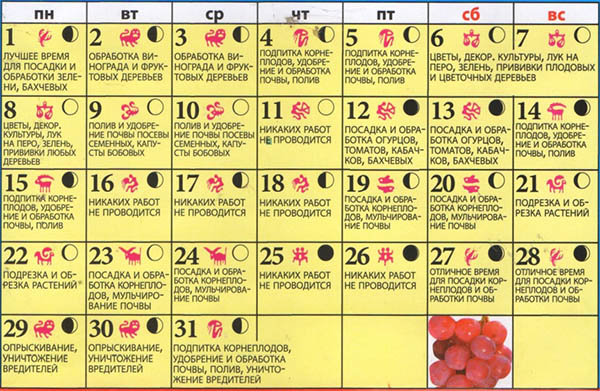Lunar Seed Calendar for May 2017