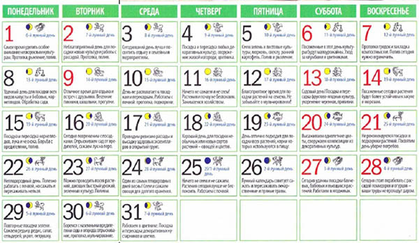 Seeding calendar for May 2017, table. Lunar sowing calendar for May 2017, favorable days for gardeners and truck farmers