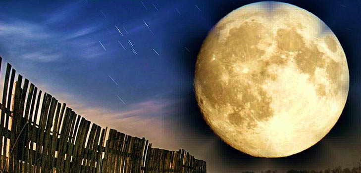 Lunar Seed Calendar for May 2017