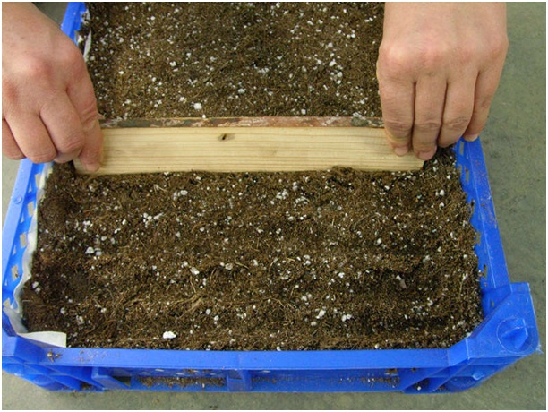excavation soil