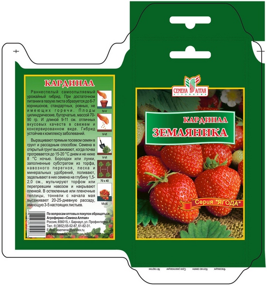 Seedlings of strawberries and strawberries