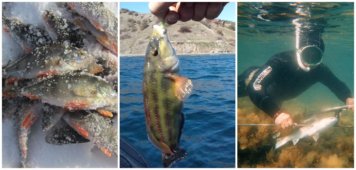 Fish big and small: the best places for fishing in Crimea