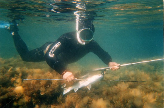 Fish big and small: the best places for fishing in Crimea