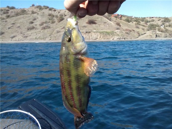 Fish big and small: the best places for fishing in Crimea