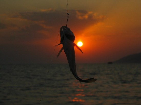 Fish big and small: the best places for fishing in Crimea