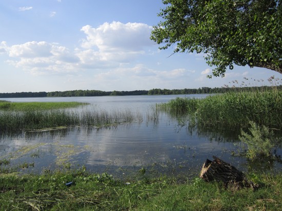 Fish big and small: the best places for fishing in Crimea