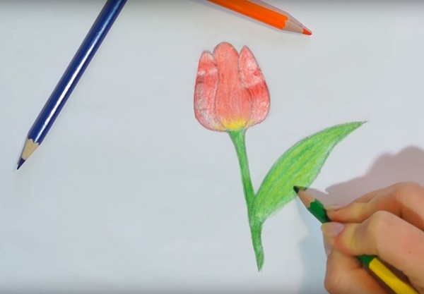 Drawing on Mother's Day with their own hands: pencil, paints, kindergarten, school