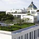 Roof garden Roof garden