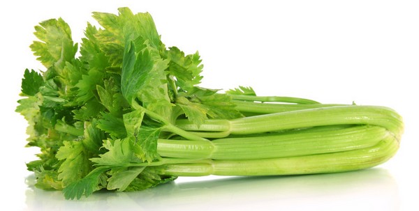 Celery: cultivation and the most interesting varieties for open ground and greenhouses