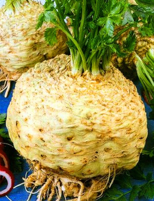 Celery: cultivation and the most interesting varieties for open ground and greenhouses
