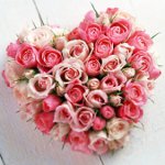 Heart of roses on February 14