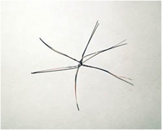 twisted wire