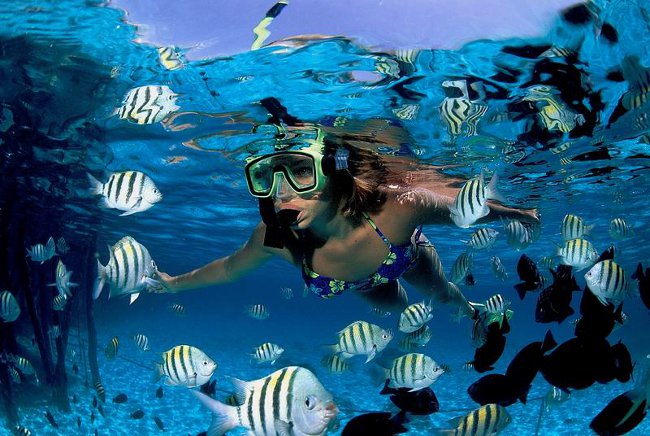 Snorkeling