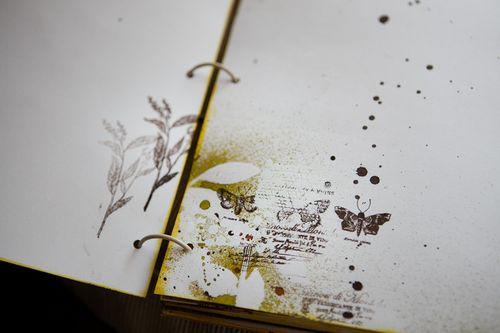 Ideas for a wedding photo album