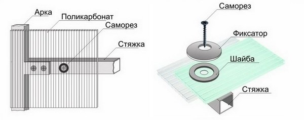 Polycarbonate greenhouse with own hands: blueprints, photos, video