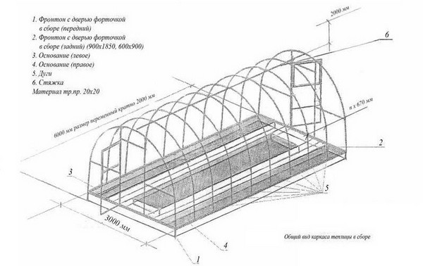 Polycarbonate greenhouse with own hands: blueprints, photos, video