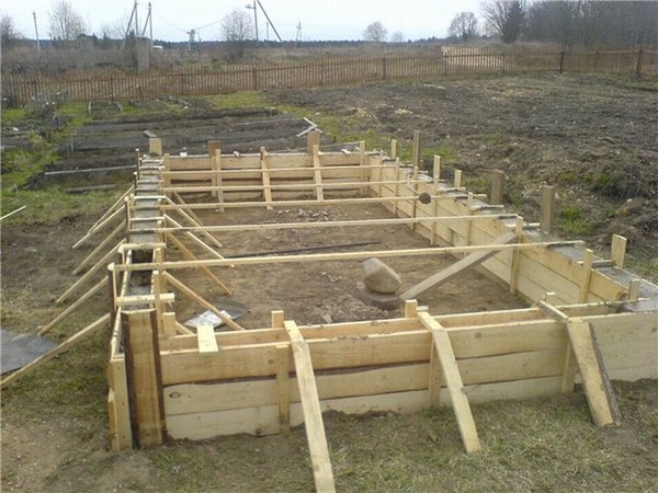 Polycarbonate greenhouse with own hands: blueprints, photos, video