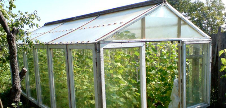 Greenhouse from window frames by own hands - step by step instructions with photo and video