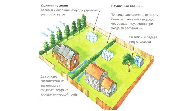 Greenhouse from window frames by own hands - step by step instructions with photo and video