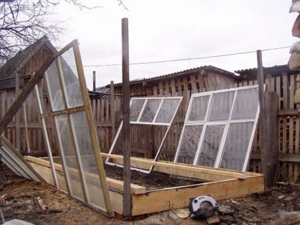 Greenhouse from window frames by own hands - step by step instructions with photo and video