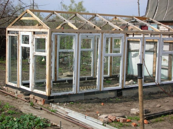 Greenhouse from window frames by own hands - step by step instructions with photo and video
