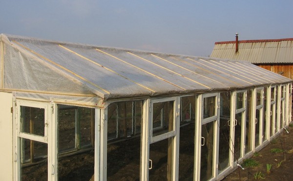 Greenhouse from window frames by own hands - step by step instructions with photo and video