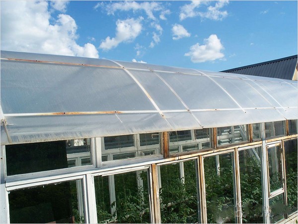 Greenhouse from window frames by own hands - step by step instructions with photo and video