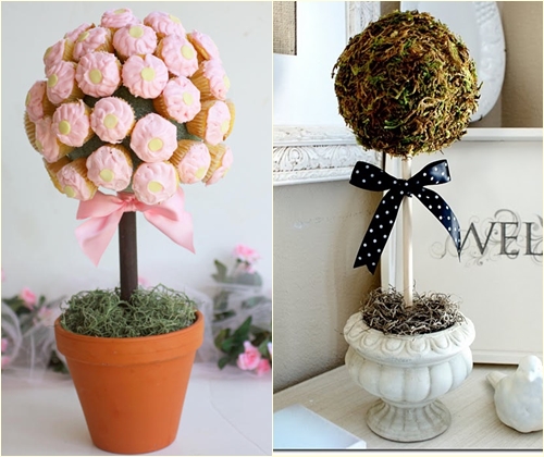 How to make a topiary by yourself: a master class How to make a topiary by yourself: a master class
