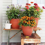 Care of plants in containers