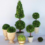 Care for topiary Care for topiary