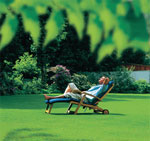 Lawn installation on your site Lawn installation on your site