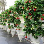 Vertical bed Vertical bed