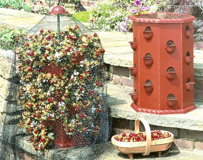 Vertical bed