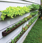 Vertical gardening Vertical gardening