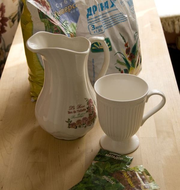 Cultivation of arugula in home conditions Cultivation of arugula in home conditions