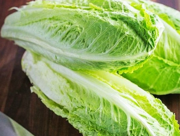 Growing salad in theory and practice, useful advice and recommendations