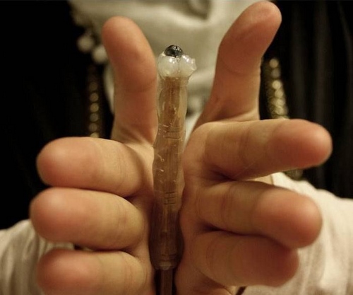 The magic wand of Harry Potter own hands