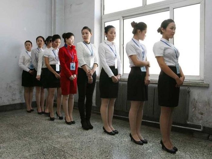 How to become a flight attendant?