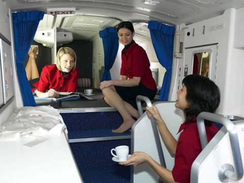 How to become a flight attendant?