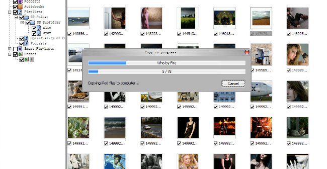 How to transfer photos to your computer