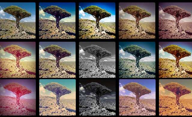 How to use Instagram